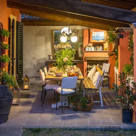 Lush In Tuscan Countryside