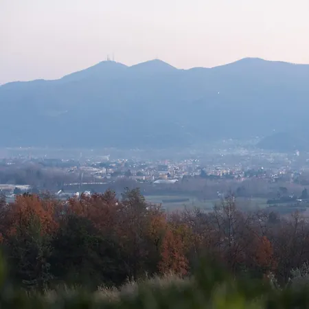 Lush In Tuscan Countryside *